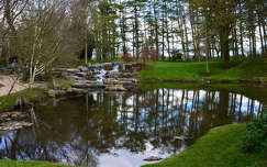 The Irish National Stud\'s Japanese Gardens