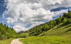 románia hegy kárpátok út címlapfotó erdély tavasz felhő
