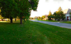 Zöldben.