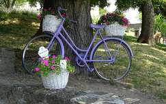 Tihany, virágos bicikli.
