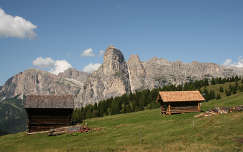 Fagunyhok a Dolomitokban. Olasz Alpok