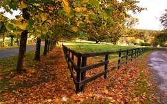 ősz írország kerítés út
