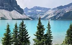 Bow Lake, Banff, Kanada