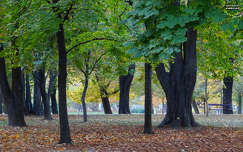 ősz, Erzsébet liget, Balatonalmádi, magyarország