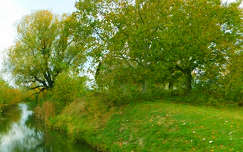 Zöldben.