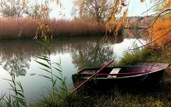 címlapfotó csónak ősz nád tükröződés