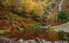 vízesés címlapfotó ősz folyó írország erdő