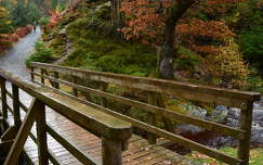 út címlapfotó ősz híd írország erdő