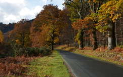 ősz írország út