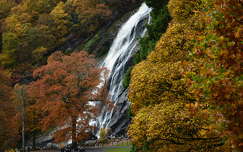 ősz fa vízesés írország