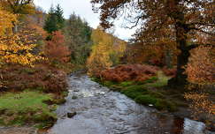 ősz folyó írország címlapfotó