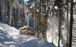 kerítés út címlapfotó erdő tél