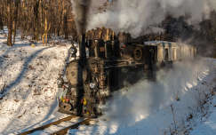 címlapfotó sínpár mozdony tél vonat