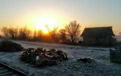 Napfelkelte Darányból / Györkő Zsombor