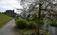 IRELAND BIRR CASTLE