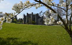 Ireland Birr castle