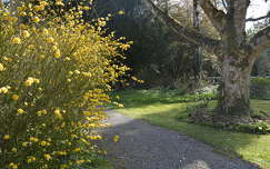 tavasz kertek és parkok írország