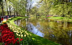 tavasz hollandia kertek és parkok keukenhof tükröződés