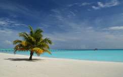 Maldív-szigetek Holiday Island