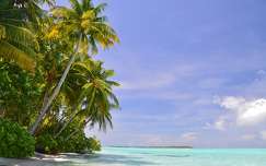 Maldív - Sun Island