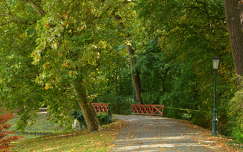 lámpa út címlapfotó ősz híd kertek és parkok
