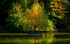 ősz, tükröződés, magyarország