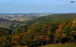 Bakony, erdő, ősz, magyarország