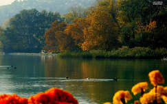 Balatonalmádi, partrészlet, ősz, magyarország