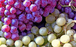 szőlő, gyümölcs, ősz, magyarország