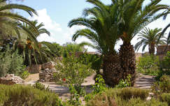 tunézia pálma kertek és parkok címlapfotó