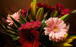 virágcsokor és dekoráció gerbera névnap és születésnap
