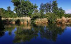 GyömrőTőzeges tó