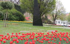 Pécs tavasszal