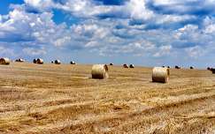 Szétgurúlt aranygombolyagok