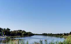 Tisza