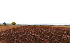 Őszi szántás