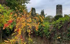 ősz várak és kastélyok írország
