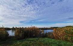 Holt Tisza