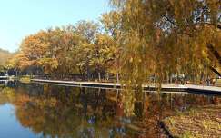 Békás tó - Debrecen