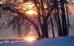 naplemente fa tél