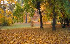 Gödöllő Erzsébet-park