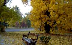 Gödöllő kastélypark