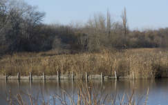 Sóstó - Székesfehérvár