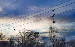 Használaton kívül.