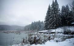 tó hegy címlapfotó tél örökzöld fenyő