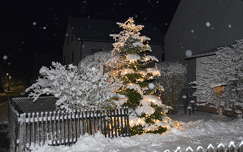 karácsonyfa tél karácsonyi dekoráció éjszakai képek