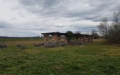Lesencetomaj