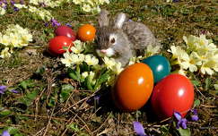 Kellemes húsvéti ünnepet kívánok mindenkinek.