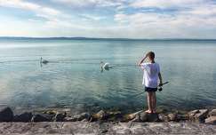 horgászás, Balaton, fiú, kacsák, hattyúk, víz, víztükör, kék, kékég, riviéra