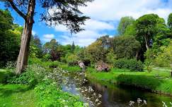 Birr várkastély parkja, Írország